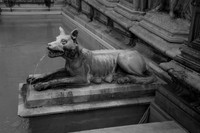 Italia2012-3764