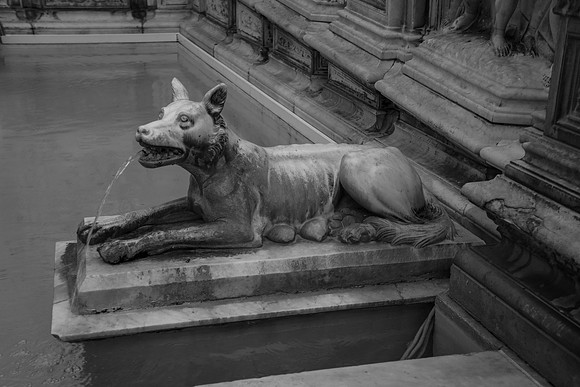 Italia2012-3764