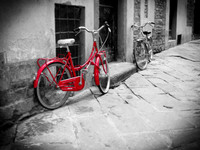 Slideshow Collection